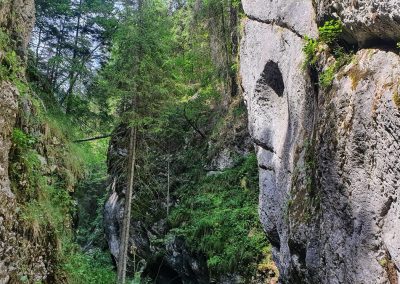 Strigoiul din Ținutul Momârlanilor 2