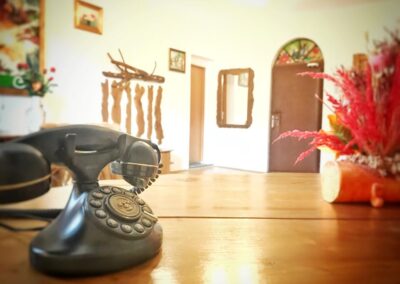 Castelul din Visul lui Dracula 3