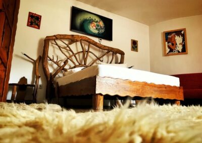 Castelul din Visul lui Dracula 5