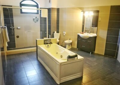 Castelul din Visul lui Dracula 8